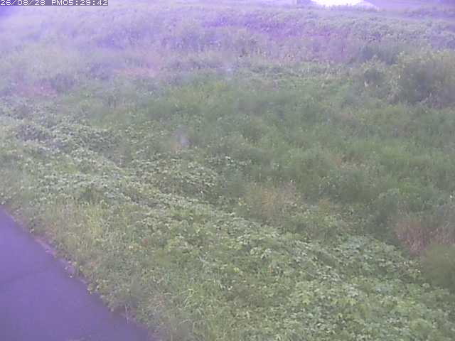 佐陀川３（河岡下流）2026/08/28 17:30:00