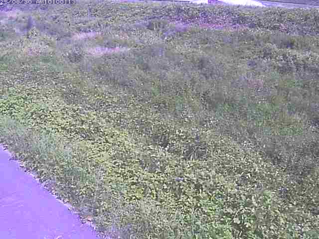 佐陀川３（河岡下流）2025/08/31 9:10:00