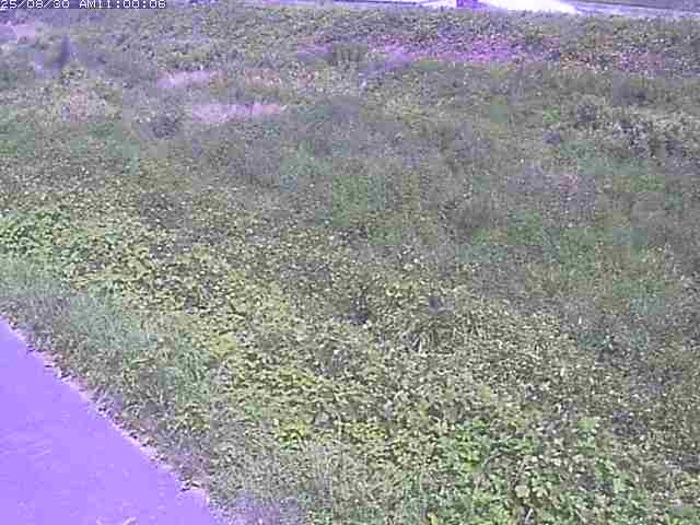佐陀川３（河岡下流）2025/08/31 9:10:00