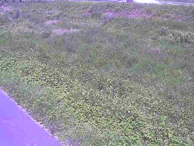 佐陀川３（河岡下流）2025/08/31 9:10:00