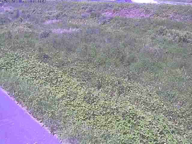佐陀川３（河岡下流）2025/08/31 9:10:00