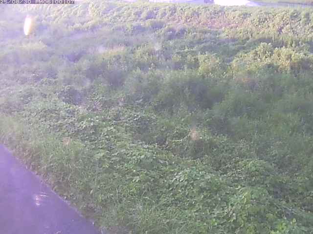 佐陀川３（河岡下流）2025/08/31 9:10:00