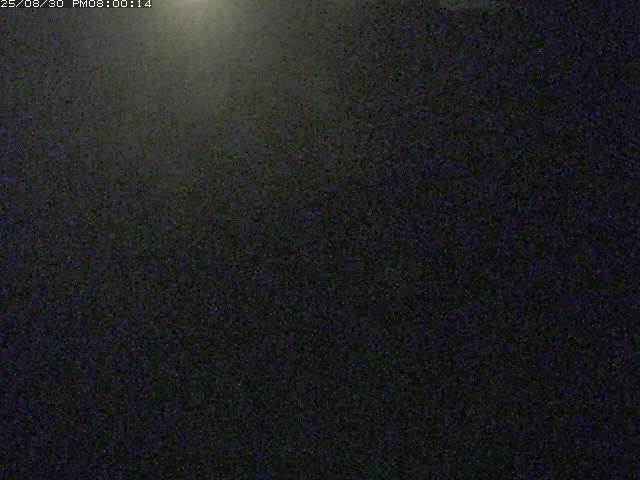 佐陀川３（河岡下流）2025/08/31 9:10:00