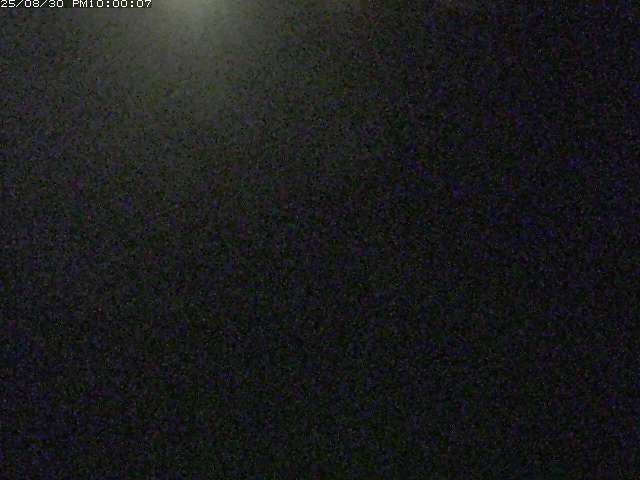 佐陀川３（河岡下流）2025/08/31 9:10:00