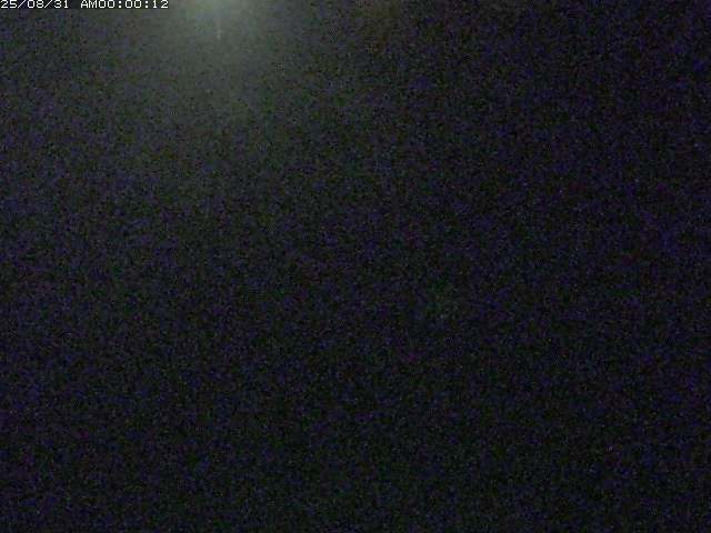 佐陀川３（河岡下流）2025/08/31 9:10:00