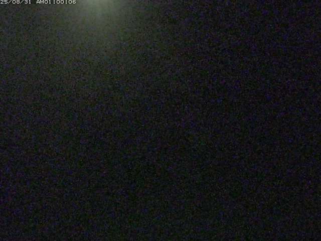 佐陀川３（河岡下流）2025/08/31 9:10:00