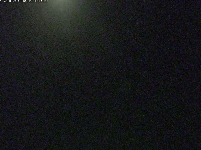 佐陀川３（河岡下流）2025/08/31 9:10:00