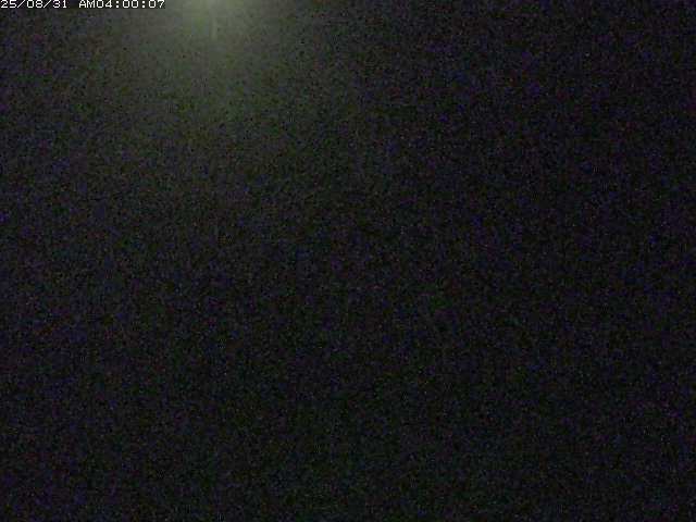 佐陀川３（河岡下流）2025/08/31 9:10:00