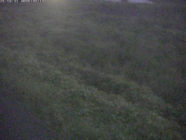 佐陀川３（河岡下流）2025/08/31 9:10:00