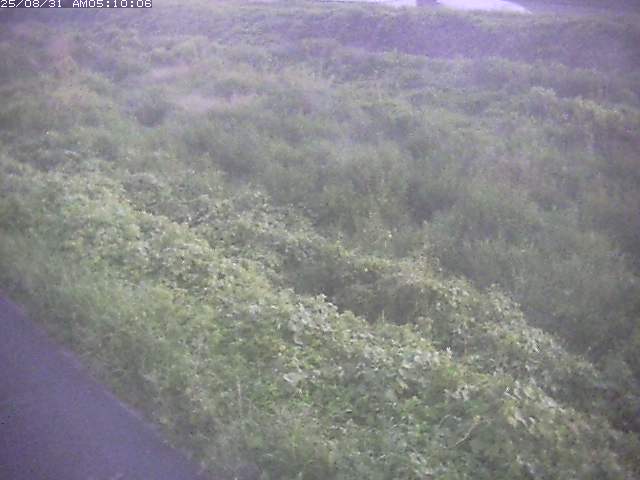 佐陀川３（河岡下流）2025/08/31 9:10:00