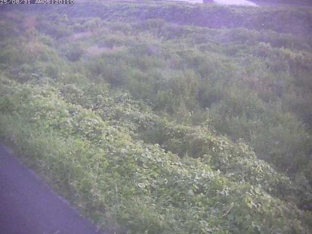 佐陀川３（河岡下流）2025/08/31 9:10:00