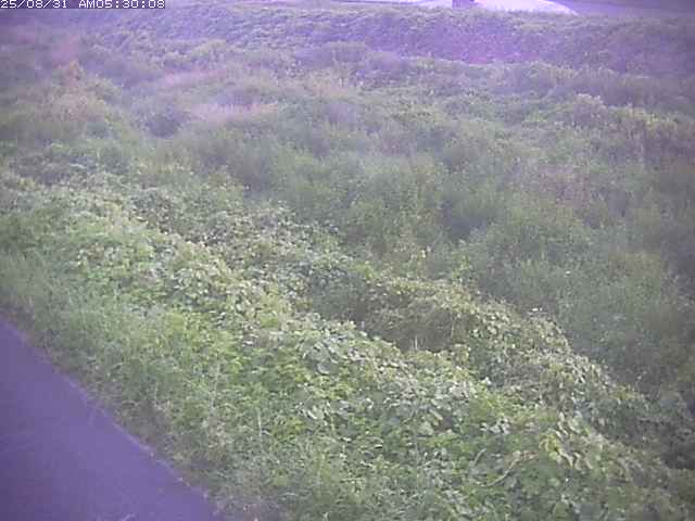 佐陀川３（河岡下流）2025/08/31 9:10:00