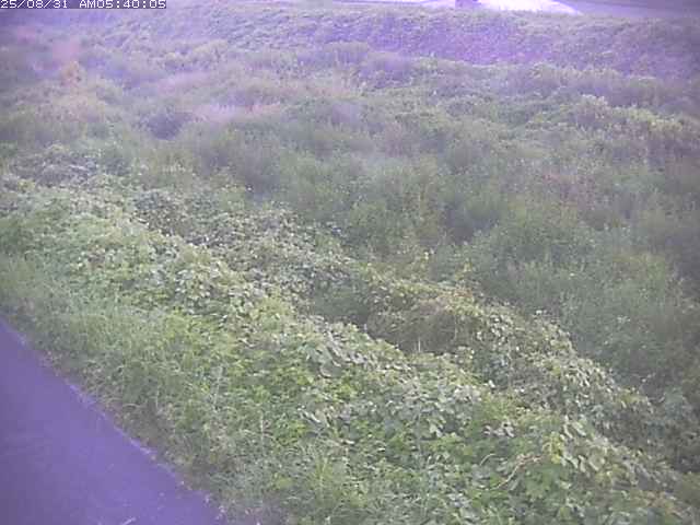 佐陀川３（河岡下流）2025/08/31 9:10:00