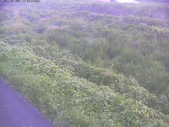 佐陀川３（河岡下流）2025/08/31 9:10:00