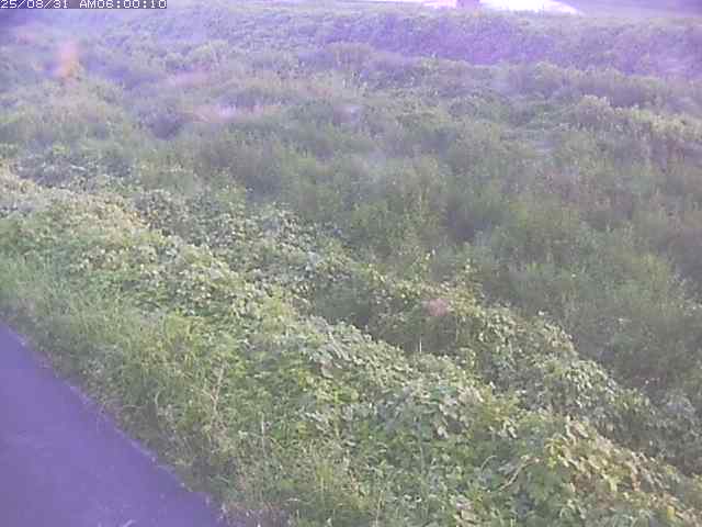 佐陀川３（河岡下流）2025/08/31 9:10:00