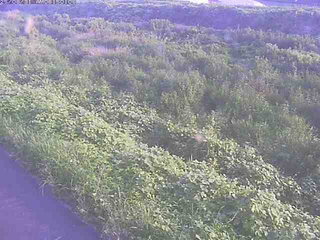 佐陀川３（河岡下流）2025/08/31 9:10:00