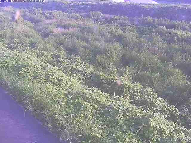 佐陀川３（河岡下流）2025/08/31 9:10:00