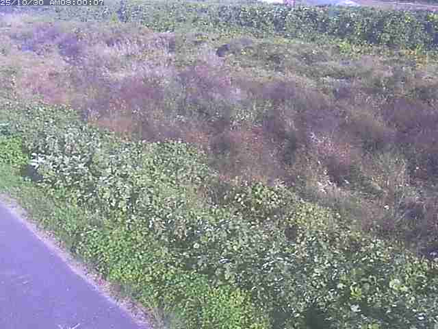 佐陀川3(河岡下流)2025/10/31 07:50