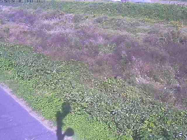 佐陀川3(河岡下流)2025/10/31 07:50