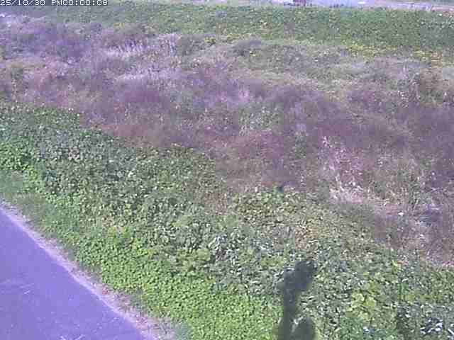 佐陀川3(河岡下流)2025/10/31 07:50