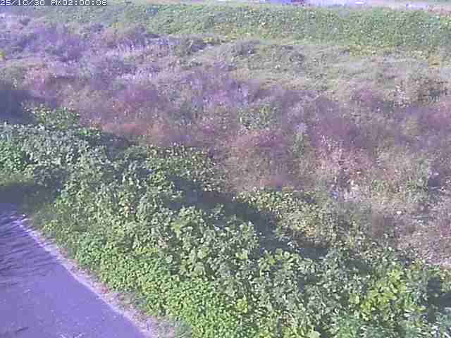 佐陀川3(河岡下流)2025/10/31 07:50