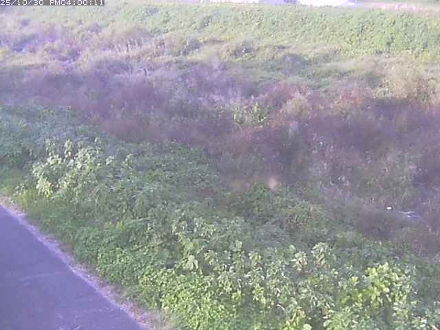 佐陀川3(河岡下流)2025/10/31 07:50