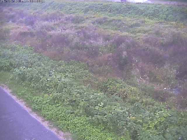 佐陀川3(河岡下流)2025/10/31 07:50