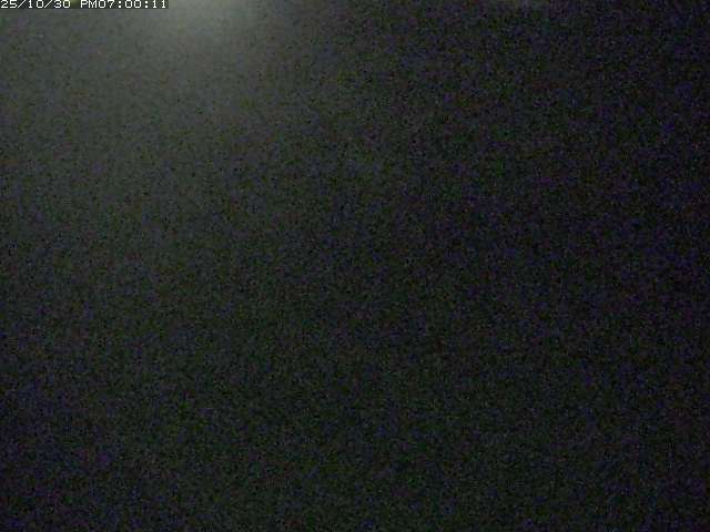 佐陀川3(河岡下流)2025/10/31 07:50