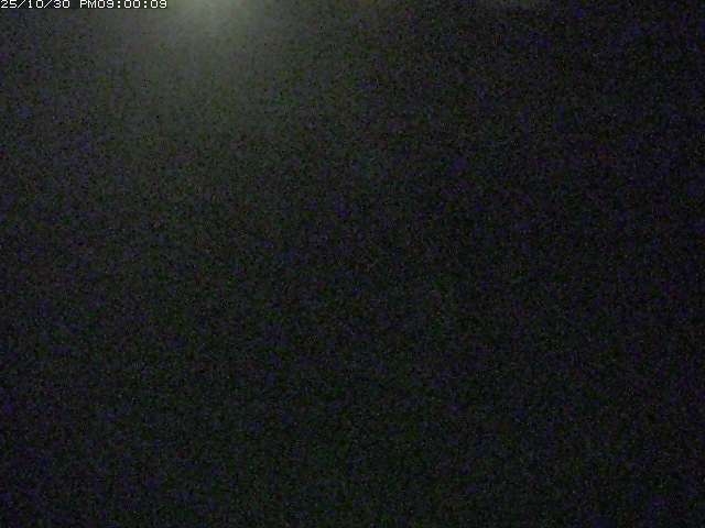 佐陀川3(河岡下流)2025/10/31 07:50