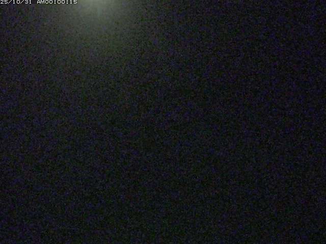 佐陀川3(河岡下流)2025/10/31 07:50