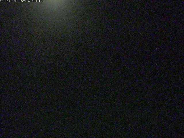 佐陀川3(河岡下流)2025/10/31 07:50