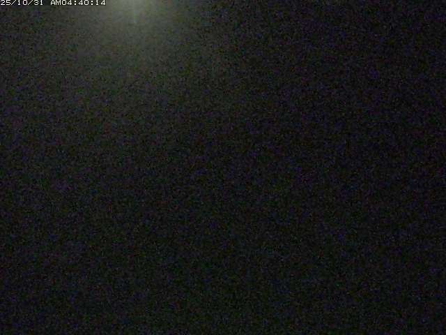 佐陀川3(河岡下流)2025/10/31 07:50
