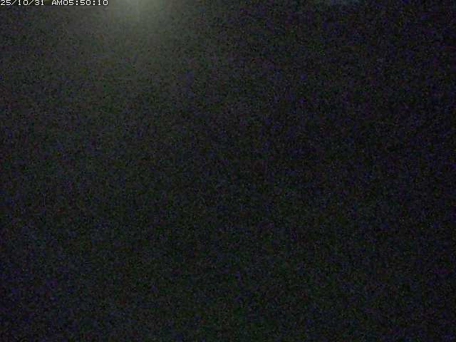 佐陀川3(河岡下流)2025/10/31 07:50