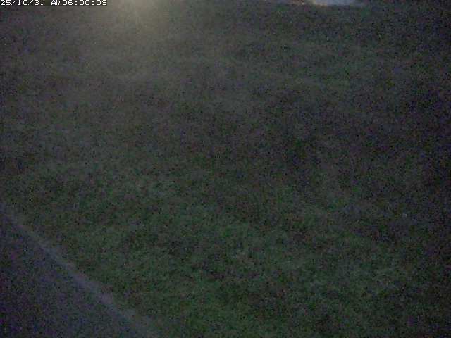 佐陀川3(河岡下流)2025/10/31 07:50