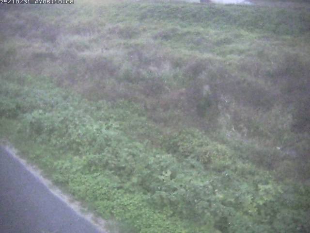 佐陀川3(河岡下流)2025/10/31 07:50