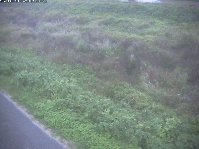 佐陀川3(河岡下流)2025/10/31 07:50