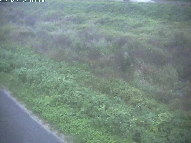 佐陀川3(河岡下流)2025/10/31 07:50