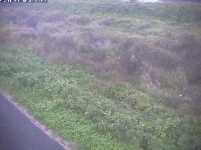 佐陀川3(河岡下流)2025/10/31 07:50