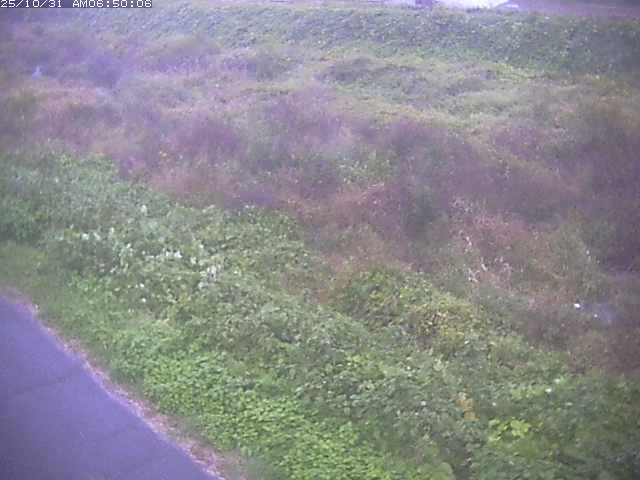 佐陀川3(河岡下流)2025/10/31 07:50