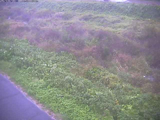 佐陀川3(河岡下流)2025/10/31 07:50