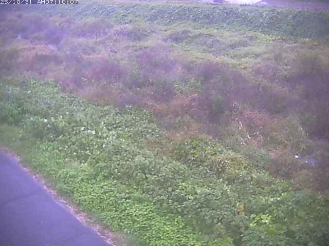 佐陀川3(河岡下流)2025/10/31 07:50