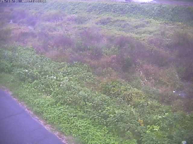 佐陀川3(河岡下流)2025/10/31 07:50