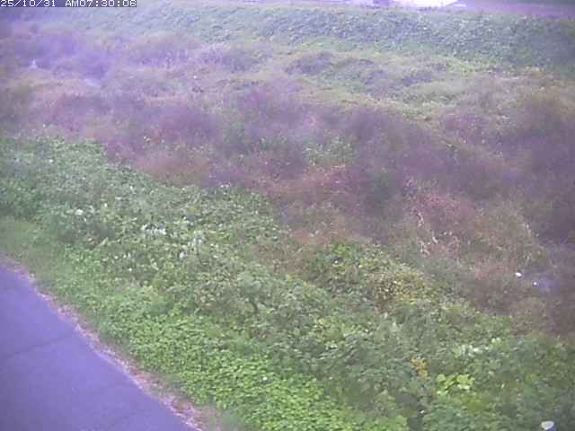佐陀川3(河岡下流)2025/10/31 07:50