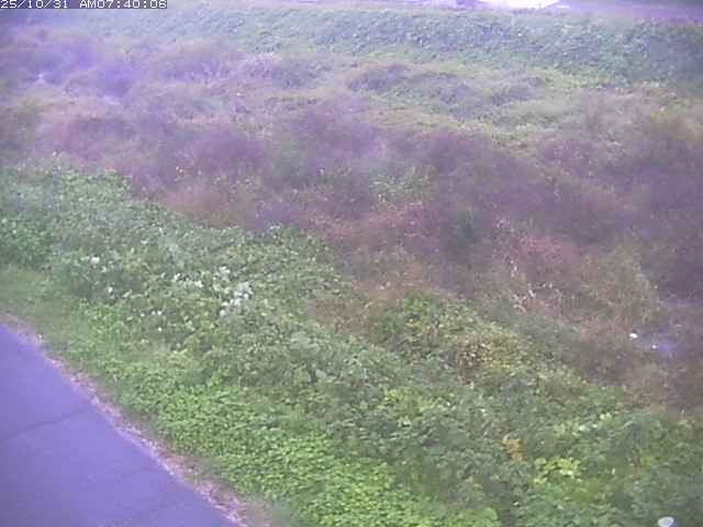 佐陀川3(河岡下流)2025/10/31 07:50