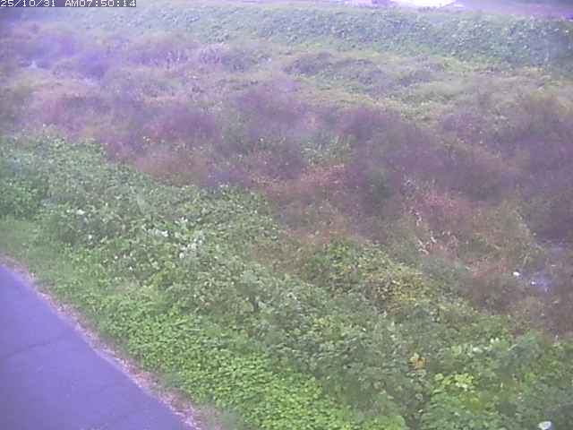 佐陀川3(河岡下流)2025/10/31 07:50
