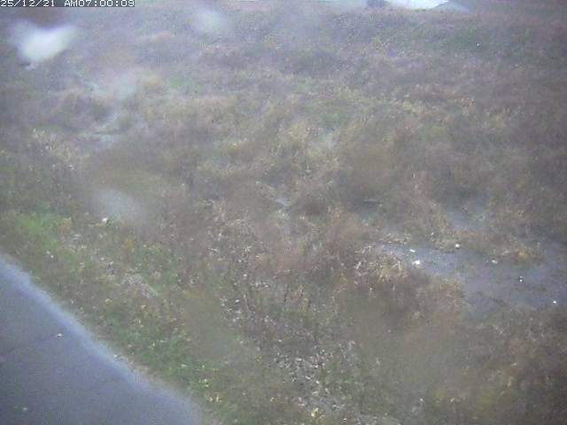 佐陀川３（河岡下流）2025/12/22 1:00:00