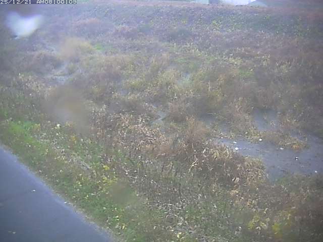 佐陀川３（河岡下流）2025/12/22 1:00:00