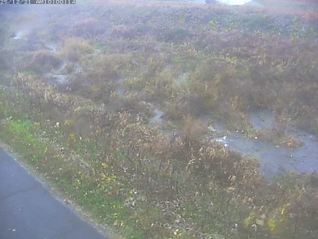 佐陀川３（河岡下流）2025/12/22 1:00:00