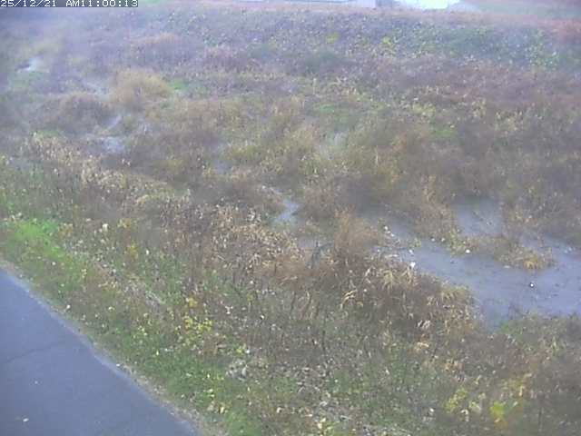 佐陀川３（河岡下流）2025/12/22 1:00:00