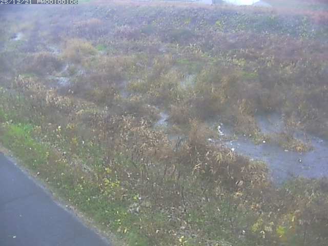 佐陀川３（河岡下流）2025/12/22 1:00:00